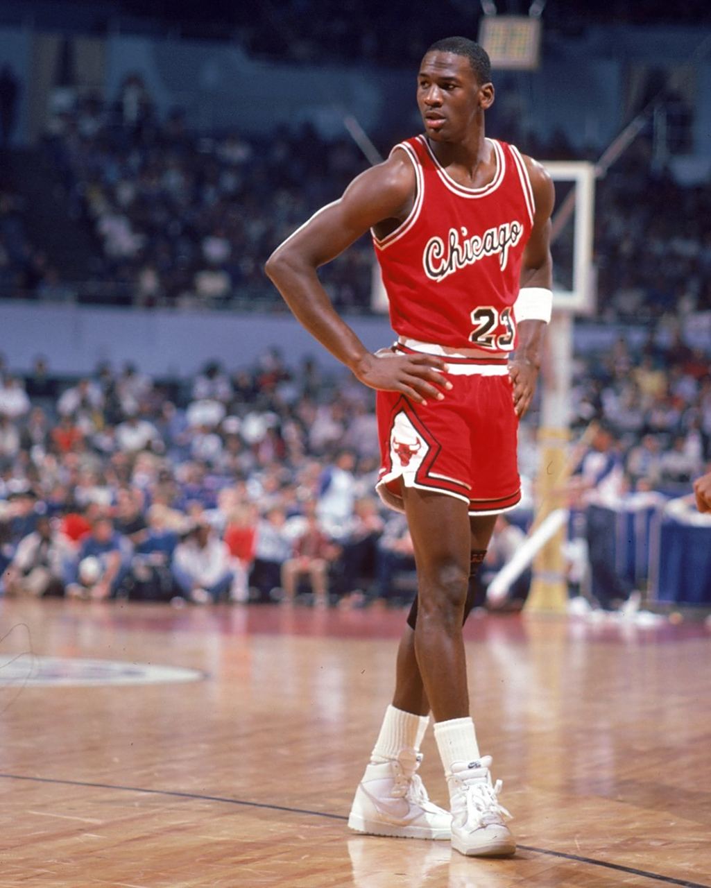 了激动人心 了激动人心